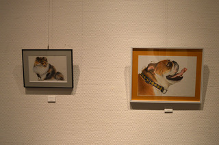 DSC_0009.jpg